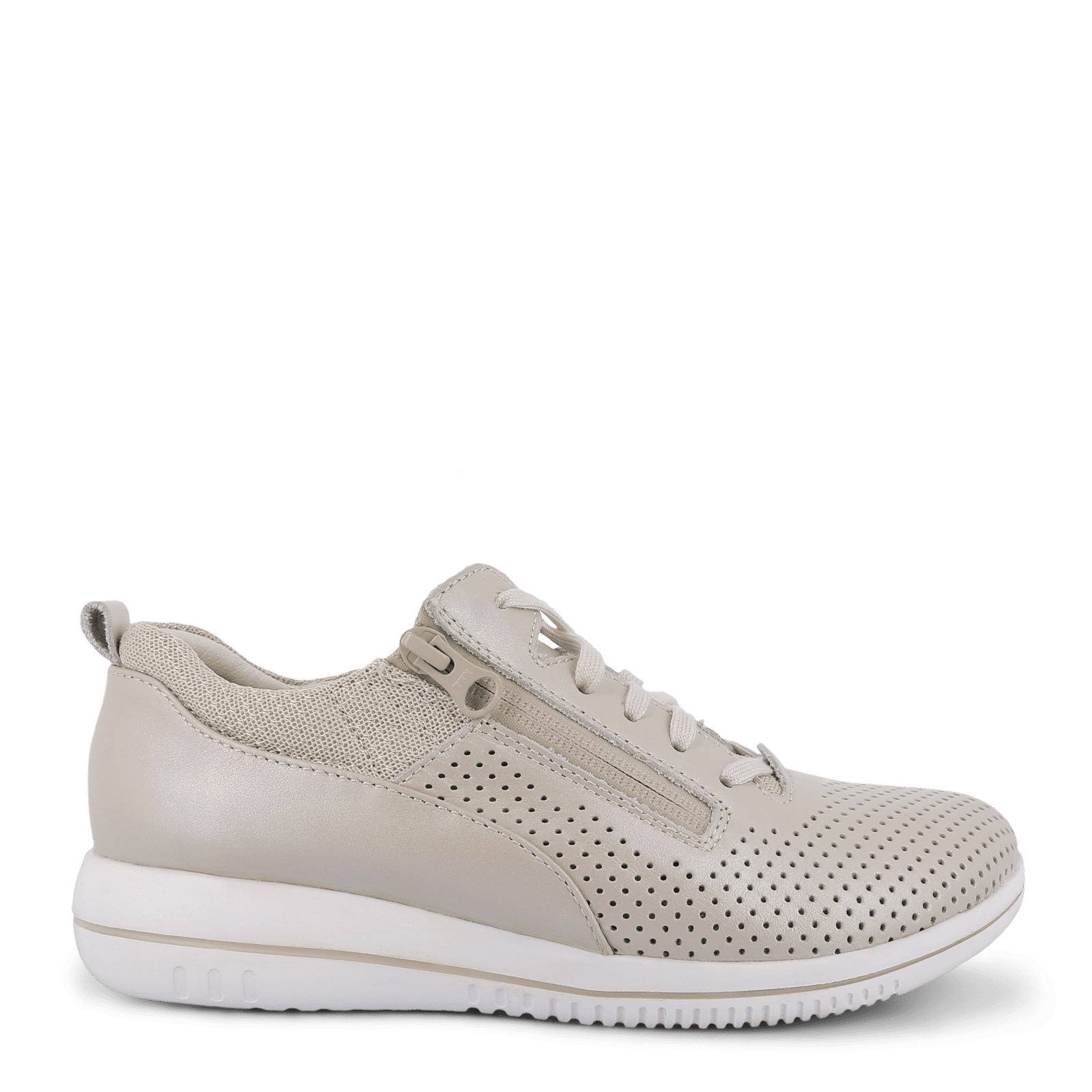 Green Comfort Leaf Leaf Champagne